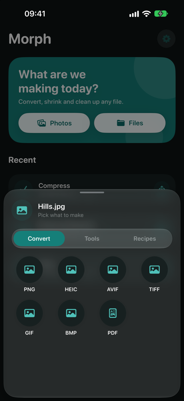 Choosing what to make from a photo, in dark mode